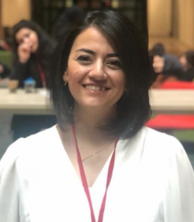 tuebitak-project-support-to-dr-emel-basak-gencer-akcok