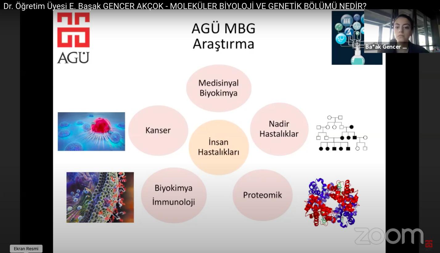 what-is-molecular-biology-and-genetics-department